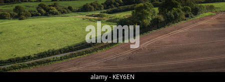 Felder der Umgebung Corfe Castle, Dorset. Stockfoto