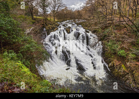 Schlucken fällt auf Afon (Fluss) Llugwy westlich von Betws-y-coed Snowdonia National Park North Wales UK Februar 56853 Stockfoto
