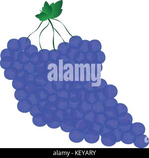 Isolierte Trauben Abbildung Stock Vektor