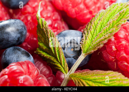 Beeren Hintergrund Stockfoto