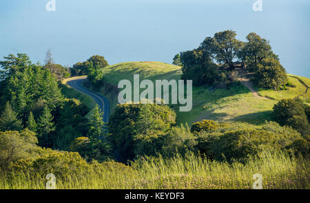 Grüne Hänge und Pazifischer Ozean, Mount Tamalpais State Park Stockfoto