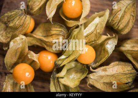 Physalis Früchte Nahansicht von oben. Stockfoto