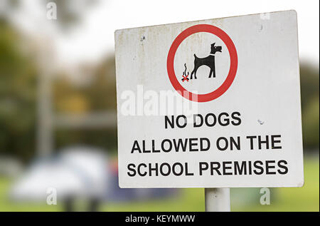 Keine Hunde auf Schulgelände Zeichen, England, Großbritannien Stockfoto