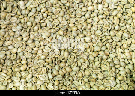 Organische gewaschen Prozess grüne Kaffeebohnen warten auf die Röstung im Kaffeehaus durch Register. Hintergrund und Textur. Stockfoto