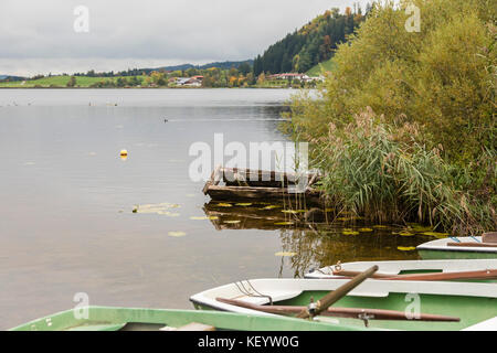 Ansicht von "Hohenschwangau" Stockfoto