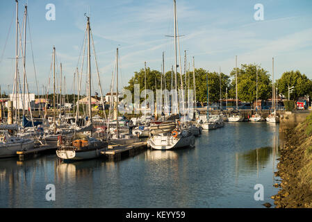 Boote im Hafen, boyardville, Saint-georges-d'Oléron, Frankreich Stockfoto