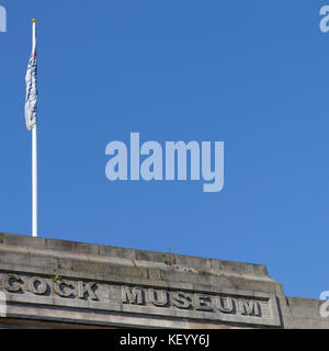 Teil der Zeichen am Great North Museum: Hancock in Newcastle-upon-Tyne, England. Die Anziehung war lange die Hancock Museum bekannt. Stockfoto