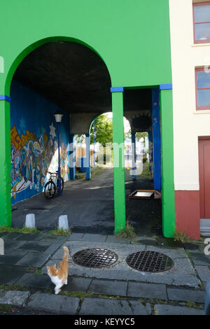 Hell Grün Torbogen und Katze auf Pflaster nach hinten in Richtung Gasse im alten Hafen von Reykjavik, Island Stockfoto