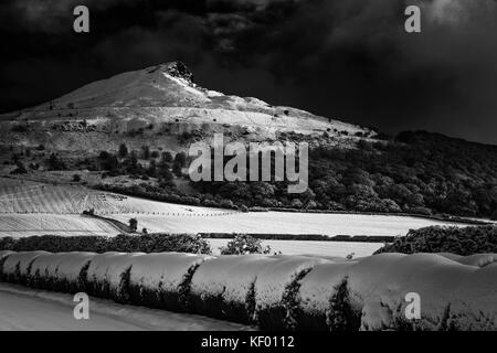 ROSEBERRY TOPPING IN SCHWARZWEISS Stockfoto