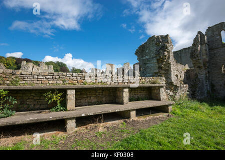 Die schöne Ruinen von Easby Abbey in der Nähe von Richmond, North Yorkshire, England. Stockfoto