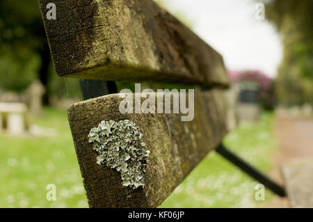 Nahaufnahme Detail einer Sitzbank auf einem Friedhof Stockfoto