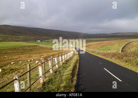 Remote Bauernverbände in oberen Teesdale, County Durham, England, Großbritannien Stockfoto