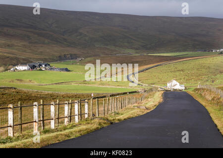 Remote Bauernverbände in oberen Teesdale, County Durham, England, Großbritannien Stockfoto