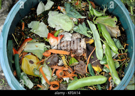 Recycling Küche essen Abfall in einem Heim Komposteimer einschließlich Obst- und Gemüseschalen, Teebeutel, Eierschalen und allgemein Gartenarbeit Abfälle. Stockfoto