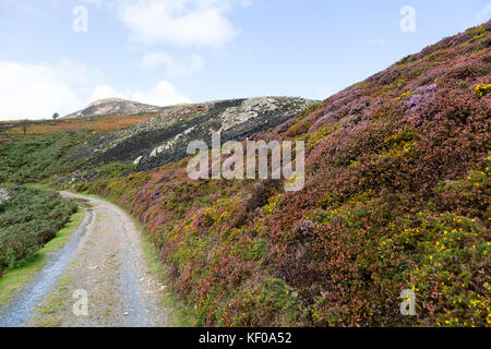 Heather brennendes Land Management an der Snowdonia National Park Stockfoto