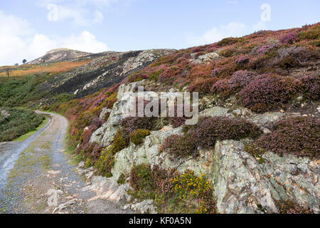 Heather brennendes Land Management an der Snowdonia National Park Stockfoto