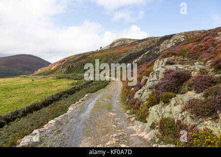 Heather brennendes Land Management an der Snowdonia National Park Stockfoto