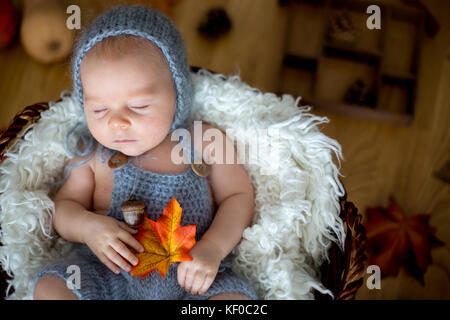 Cute Baby Boy, Schlafen mit Blätter im Herbst in einem Korb zu Hause, Herbst Verzierungen um ihn herum Stockfoto