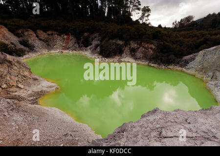 Eine craler Teich, Gelb von Schwefel, im Wai-o-Tapu geothermale Region in Neuseeland Stockfoto