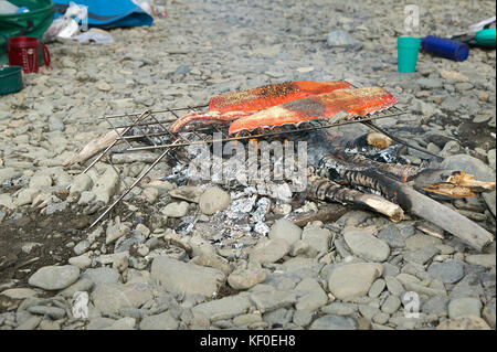 Frisch, wild gefangenen Lachs Filets Grillen über glühende Kohlen auf einem smokey Lagerfeuer. Stockfoto