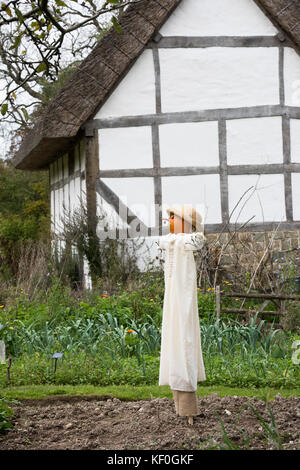 Altmodische Pumpkin Head Vogelscheuche vor einem mittelalterlichen Fachwerkhaus bei Weald und Downland Museums, Herbst, Singleton, Sussex, England Stockfoto