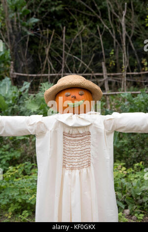 Altmodische Pumpkin Head Vogelscheuche in einem Gemüsegarten bei Weald und Downland Museums, Herbst, Singleton, Sussex, England Stockfoto