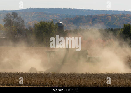 Ein Mähdrescher Ernten von Sojabohnen an einem schönen Herbsttag im ländlichen Sauk County, Wisconsin. Stockfoto