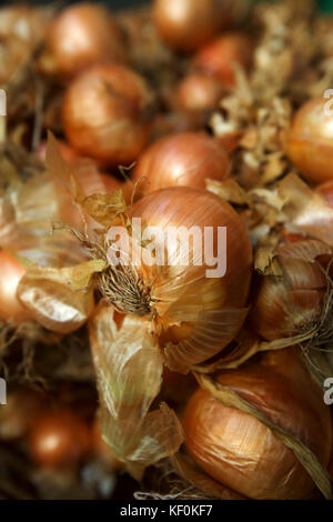 Sonntag Markt in Santo da Serra, Madeira, Portugal Stockfoto