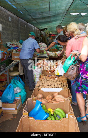 Sonntag Markt in Santo da Serra, Madeira, Portugal Stockfoto