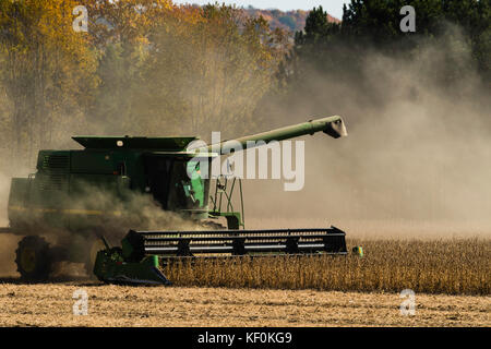 Ein Mähdrescher Ernten von Sojabohnen an einem schönen Herbsttag im ländlichen Sauk County, Wisconsin. Stockfoto