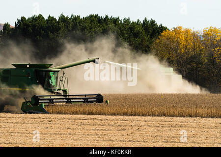 Ein Mähdrescher Ernten von Sojabohnen an einem schönen Herbsttag im ländlichen Sauk County, Wisconsin. Stockfoto