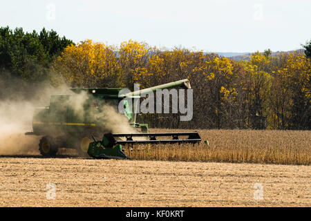 Ein Mähdrescher Ernten von Sojabohnen an einem schönen Herbsttag im ländlichen Sauk County, Wisconsin. Stockfoto