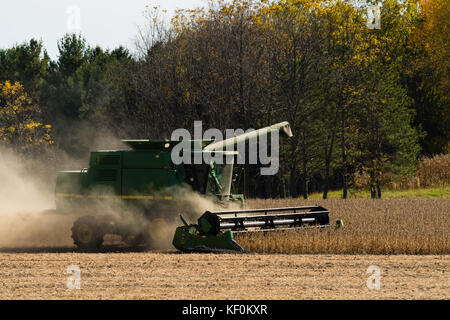 Ein Mähdrescher Ernten von Sojabohnen an einem schönen Herbsttag im ländlichen Sauk County, Wisconsin. Stockfoto