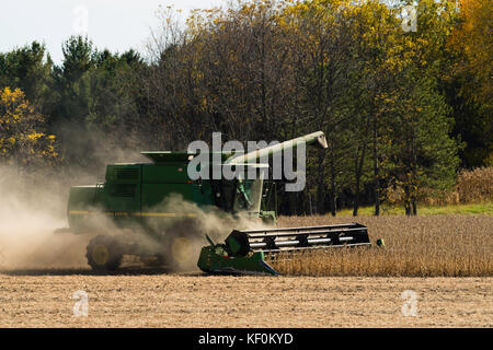 Ein Mähdrescher Ernten von Sojabohnen an einem schönen Herbsttag im ländlichen Sauk County, Wisconsin. Stockfoto