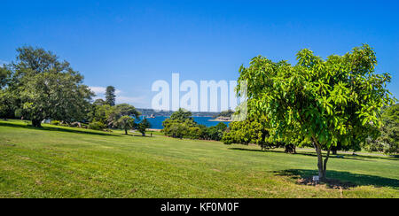 Australien, New South Wales, Sydney, Royal Botanic Garden bildet einen großen natürlichen Amphitheater, rund und schräg nach unten in Richtung der Bühne der Farm gewickelt Stockfoto