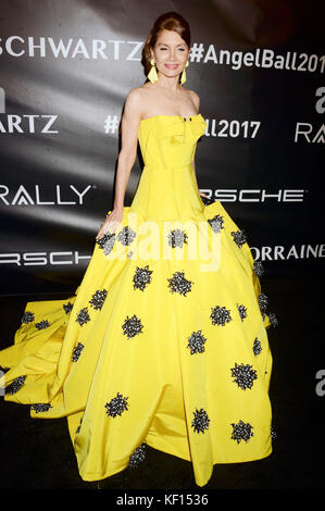 New York, USA. 23. Oktober, 2017. Jean shafiroff's Gabrielle's Engel Stiftung angel Ball 2017 cipriani Wall Street besucht am 23. Oktober 2017 in New York City.Credit: geisler - fotopress/alamy leben Nachrichten Stockfoto