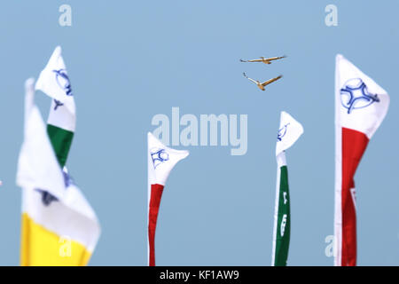 Colombo, Sri Lanka. 25 Okt, 2017. zwei Pelikane fliegt über die Baustelle der Colombo port City. Credit: vimukthi embuldeniya/alamy leben Nachrichten Stockfoto