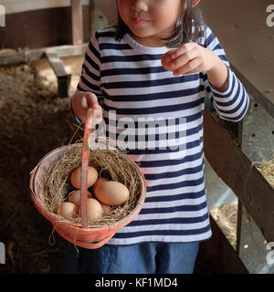 Kleines Mädchen Kommissionierung Huhn Eier aus dem Hühnerstall Stockfoto