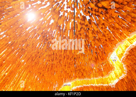 Blumenarrangement Tunnel in Thai Royal Einäscherung Zeremonie bei Pak klong Blumenmarkt Stockfoto