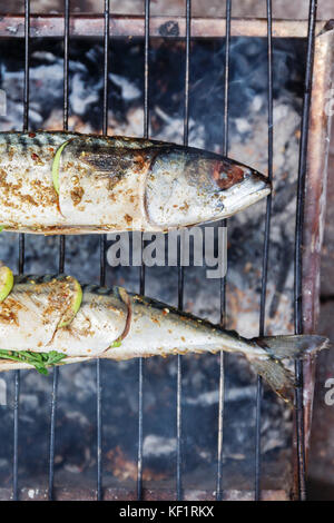 Gegrillter Fisch mit Gewürzen auf Feuer hautnah. grillen Fisch dorado am Lagerfeuer. Stockfoto