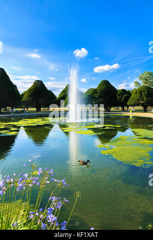 Der große Springbrunnen Garten umgeben von alten Eiben umgeben von einem perfekten Sommernachmittag, Hampton Court Palace Gardens Stockfoto