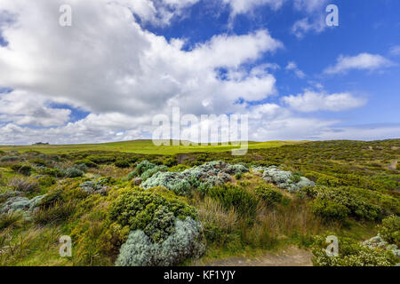 Australische Küstenvegetation und flauschigen weissen Wolken im blauen Himmel Stockfoto