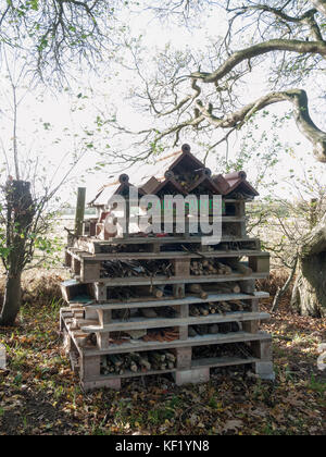 Holz Kiste bug House' bug Hotel" in Garten, Essex, England, Großbritannien Stockfoto