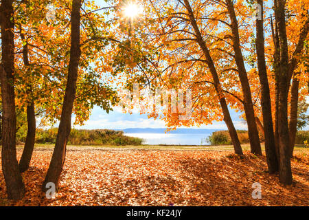 Wunderschöne Herbst Landschaft mit Blick auf den Fluss Stockfoto