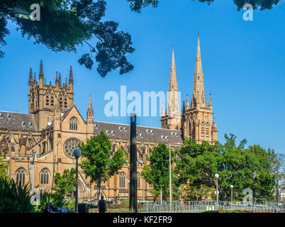 Australien, New South Wales, Sydney, Hyde Park, mit Blick auf die gotische St. Mary's Cathedral Stockfoto