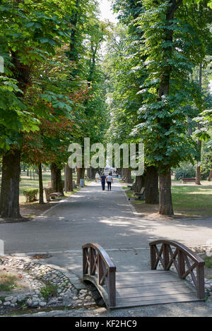 Blick auf den Central Park Avenue in Cluj, mit kleinen Holzbrücke im Vordergrund. Stockfoto