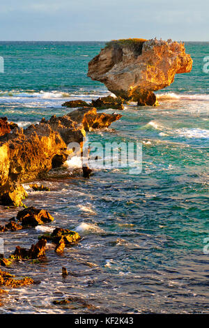 Robuste wetter Kalkstein Felsen am Cape peron Rockingham Stockfoto