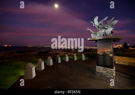 Wilde Gänse, catalpa Memorial, Palm Beach, Western Australia Rockingham Stockfoto