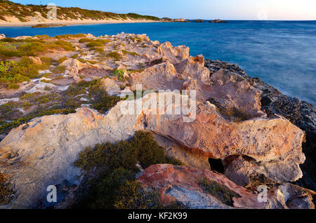 Versteinerte Reste von tuart Wald in der tamala Kalkstein thoughout point Peron und der shoalwater Islands Marine Park in der Nähe von Newport Stockfoto