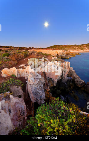 Versteinerte Reste von tuart Wald in der tamala Kalkstein thoughout point Peron und der shoalwater Islands Marine Park in der Nähe von Newport Stockfoto